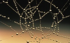 2023年跨境电商独立站的发展趋势 2023年跨境电商独立站的发展趋势